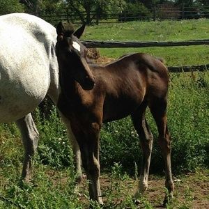 Meet your Posher, Judy